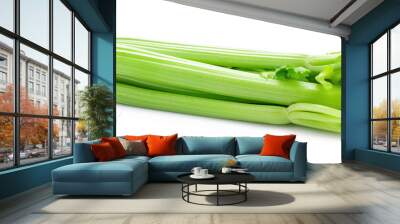 bunch of green celery isolated on white background Wall mural