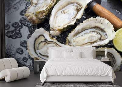 fresh oysters on ice Wall mural