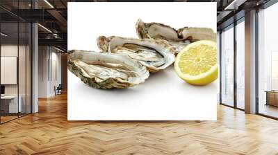 open fresh oysters with slice of lemon isolated on white background Wall mural