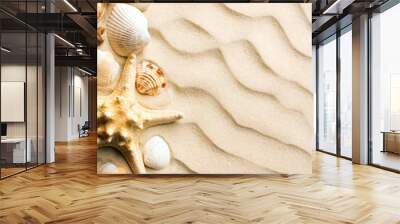 sand with dunes seashell and starfish as blank textured background Wall mural