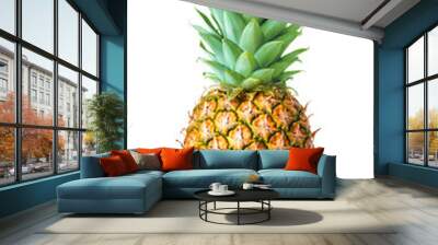 single ripe pineapple isolated on white background Wall mural