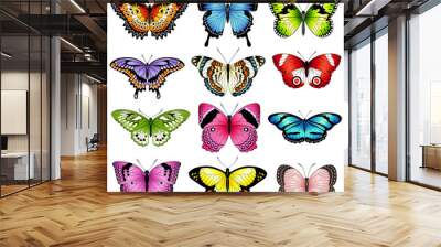 Vector color butterfly illustrations Wall mural