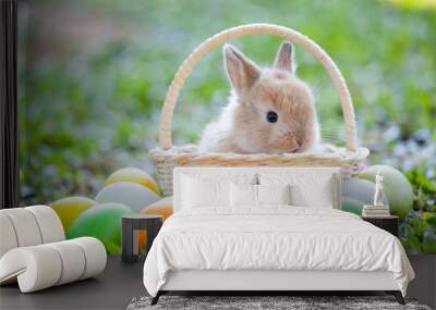 Cute little bunny in the basket and easter eggs in the meadow Wall mural