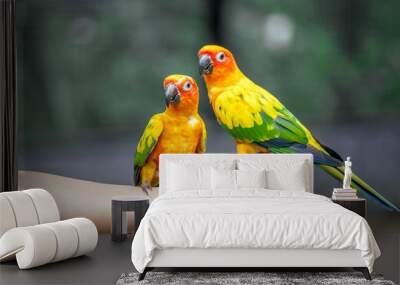 Parrot on woman hand in park Wall mural