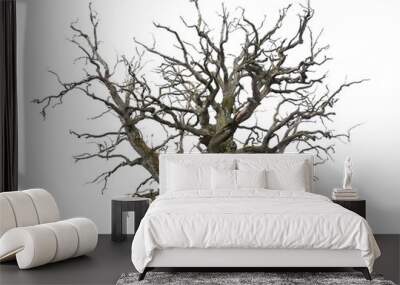 ancient mighty bare oak tree Wall mural