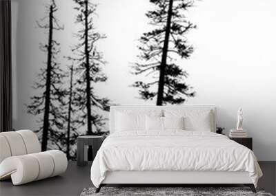 spooky forest with silhouettes of trees Wall mural