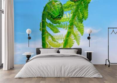 Two young fern leaves Wall mural