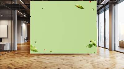 Creative mockup with flying various types of spices Bay leaf, red chili pepper, anise on green background with copy space. Long food banner with copy space. Wall mural