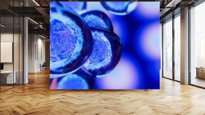 Creative image of embryonic stem cells, cellular therapy. 3d illustration Wall mural