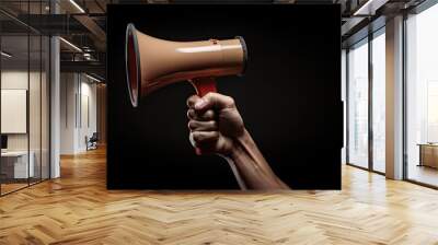 hand holding megaphone announcement concept promotion and advertising concept Wall mural