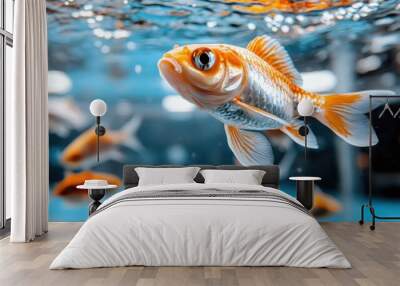 A close-up image of a goldfish swimming in a serene aquarium, focused on its detailed scales and expressive eyes amid a softly blurred background of water and other fish. Wall mural