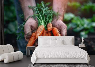 A close-up shot of hands holding freshly harvested carrots, still covered in soil, highlighting the raw and organic nature of the fresh produce, straight from the garden. Wall mural