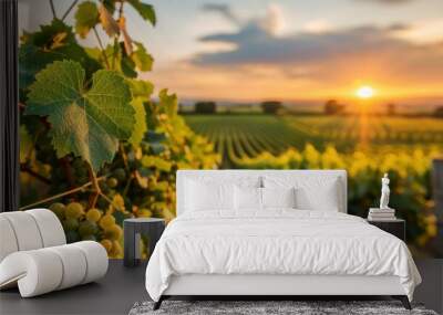 Beautiful vineyard with lush green grape vines at sunset, showcasing the intricate details of the grape leaves and bunches of grapes glowing in the evening sun. Wall mural