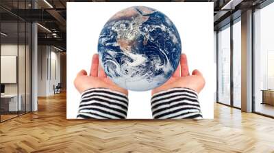 Globe in hands Wall mural