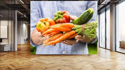 Fresh wet vegetables in gardener's hands - spring Wall mural