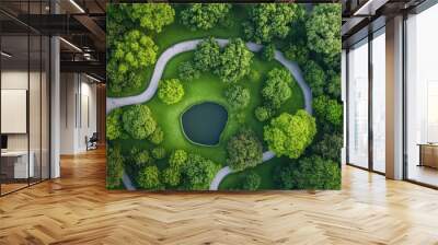 Aerial view of a green city park with walking paths, trees, and a pond, urban nature and recreation concept Wall mural