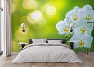 Close-up of a white orchid with detailed petals and a blurred green background Wall mural