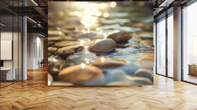 Close-up of water-worn pebbles in a shallow stream, with sunlight creating soft reflections Wall mural