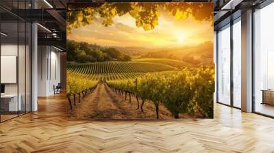 Golden Sunset Over Vineyard Rows in Tranquil Landscape Wall mural