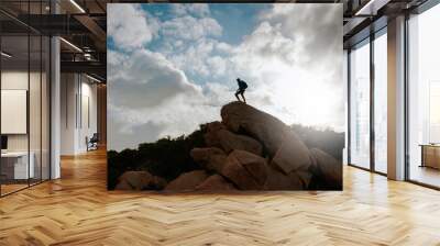 Silhouette of man standing on a peak in a rocky beach. Sky on background with copy space. Wall mural