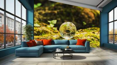 natural world glass ball concept Wall mural