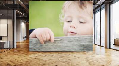 One year boy playing in the park portrait. Wall mural