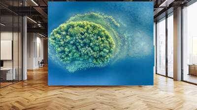 Aerial landscape from the drone - lonely isle Wall mural