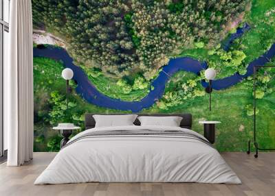 Aerial landscape - wild river in summer Wall mural