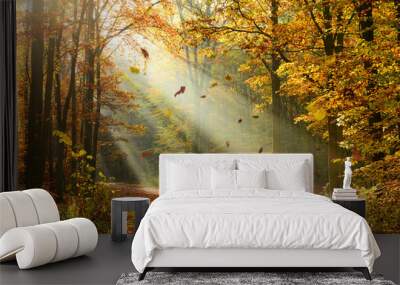 Autumn forest Wall mural