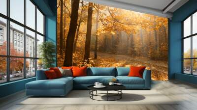 Autumn forest Wall mural