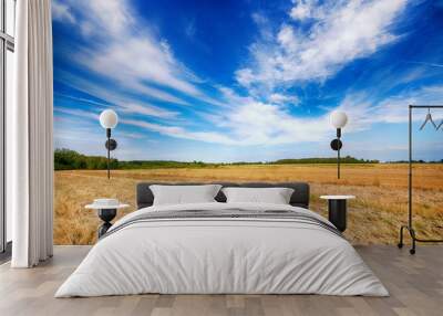 Beautiful cloudy sky over summer fields Wall mural