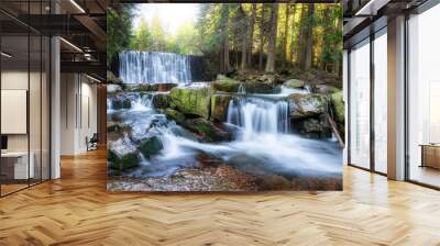 Beautiful panorama of waterfall in the forest Wall mural