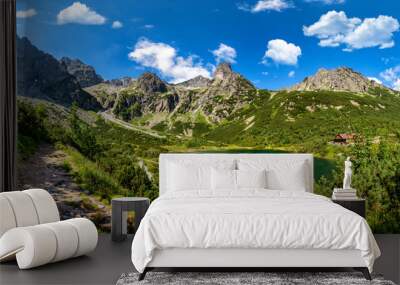 Beautiful summer panorama of mountains range Wall mural