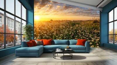 Beautiful summer sunrise over daisy field - panorama Wall mural