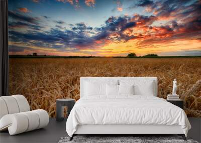 Beautiful summer sunrise over wheat fields Wall mural