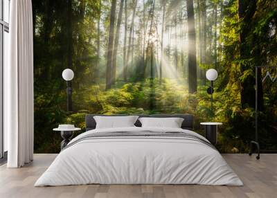 Beautiful sunny morning in the green forest Wall mural