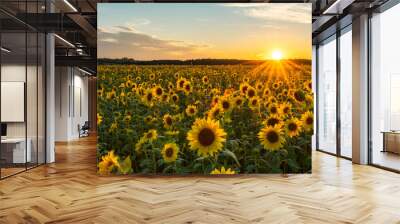 Beautiful sunset over sunflower field Wall mural