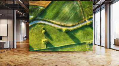 Drone aerial view - windy road in summer Wall mural