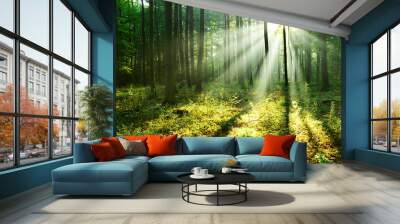 Forest landscape Wall mural