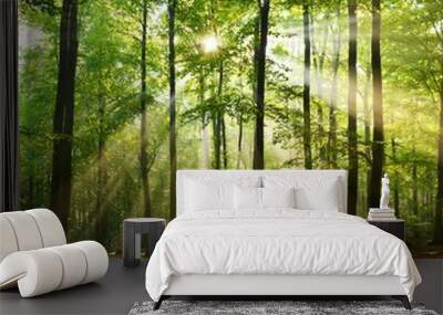 Forest Wall mural