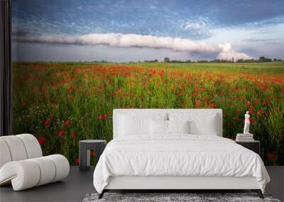 So called roll cloud over the field full of poppies Wall mural