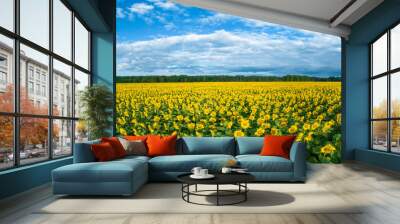 Sunflowers field over blue cloudy sky Wall mural