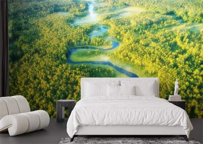 Wild river landscape from the drone Wall mural