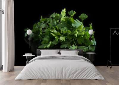 Fresh green parsley on black background Wall mural