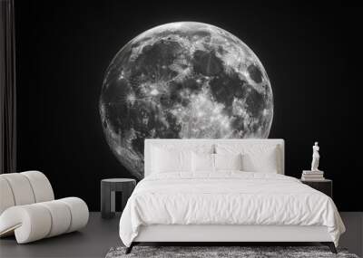 moon in the night Wall mural