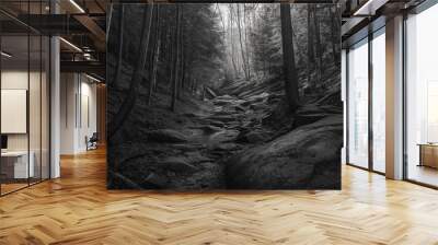 Scenic forest view taken from within Wall mural