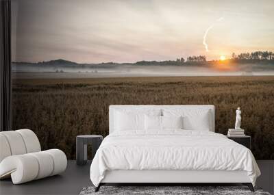 Foggy august morning on Swedish wheat field Wall mural