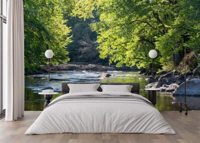 Wild Swedish river in september Wall mural