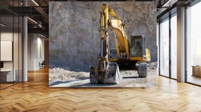 Yellow excavator - digging machine for digging and dumping the soil. Work in the quarry. Wall mural