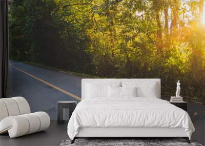 Beautiful road in the forest with sunset light Wall mural